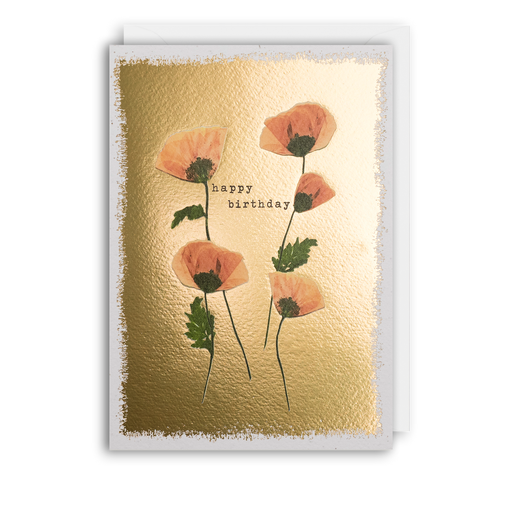Birthday Poppies - Pressed Flowers