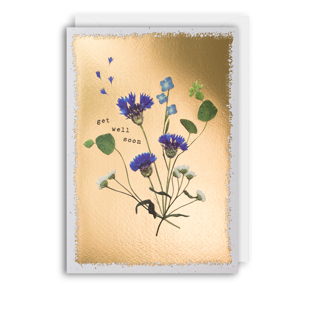 Get Well Wild Flowers Blue - Pressed Flowers