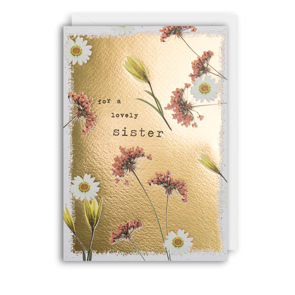 Sister Daisy & Pink - Pressed Flowers