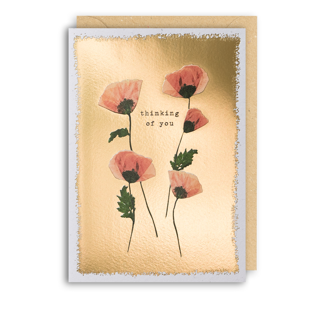 Thinking Of You Poppies - Pressed Flowers